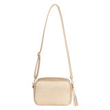 Gold Camera Crossbody Bag